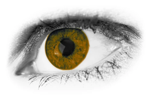 ojo Remote Hands & Eyes Support